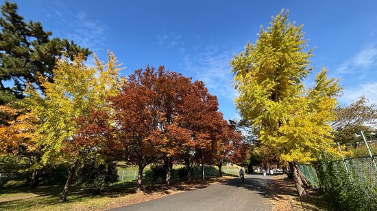 hamadera-park-in-autumn